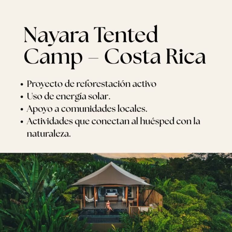 Lujo consciente - Ximena Alfaro (7)