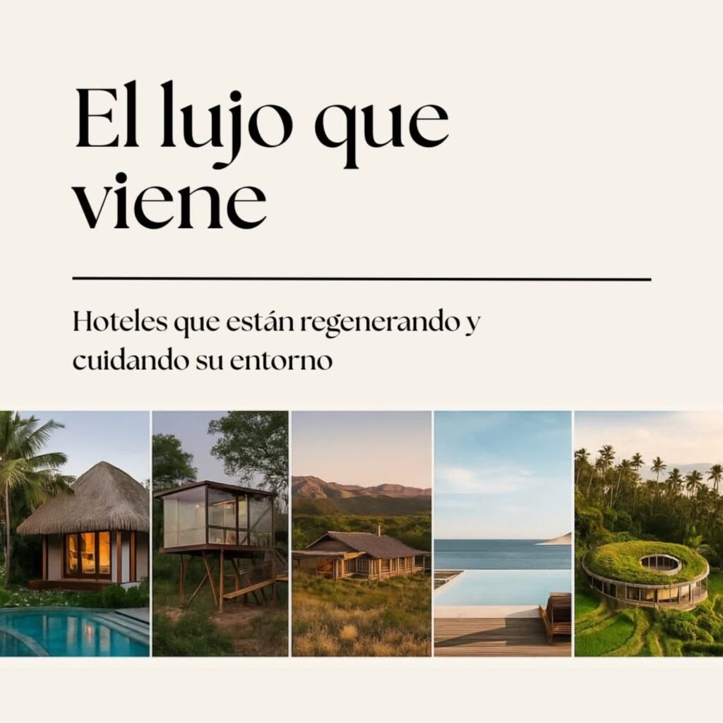 Lujo consciente Ximena Alfaro 8